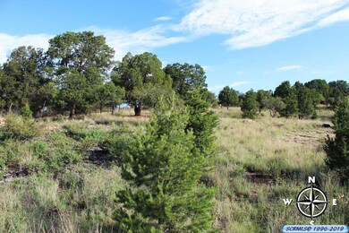 34 Oxbow, Silver City, NM 88061 - photo 7