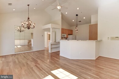 10706 Symphony Way, Columbia, MD 21044 - photo 7