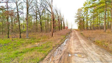 003 Dana Bell Rd, Broken Bow, OK 74728 - photo 7