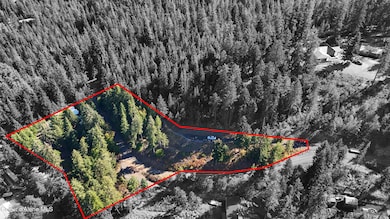 783 E Cliff View Dr, Harrison, ID 83833 - photo 3