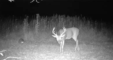 0 Emerick Rd, Franklin Township, OH 44427 - photo 7