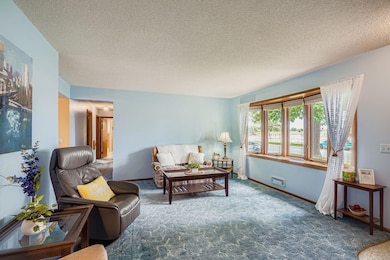 6120 7th St NE, Minneapolis, MN 55432 - photo 4