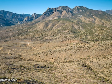DJI_0127