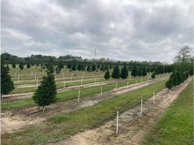 0000 County Road 146, Alvin, TX 77511 - photo 7