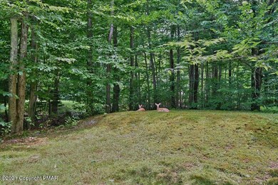 Large clearing on private, oversized lot