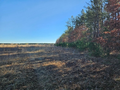 Parcel C South Lot - 22.3 +/- Acres.