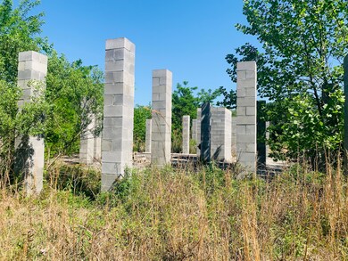 IMG_0347 2