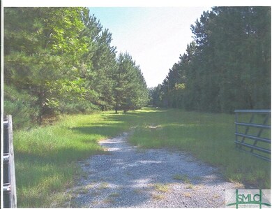 876 Old Tusculum Rd unit Parcel 2, Springfield, GA 31329 - photo 2