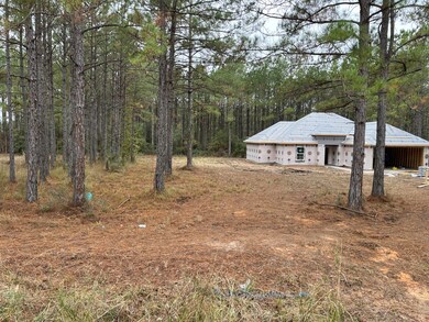 234 Steel Magnolia Ln, Anacoco, LA 71403 - photo 2