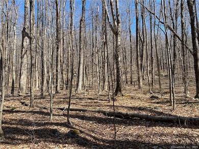 0 Andrew Mountain Rd unit 170603648, Naugatuck, CT 06770 - photo 3