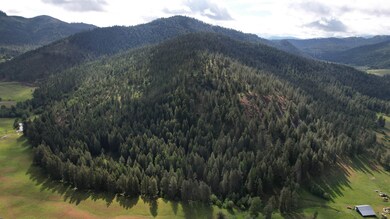 Parcel AB Daisy Mine Rd, Gifford, WA 99131 - photo 3