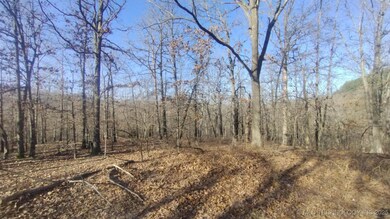 464200 Acorn Ridge, Proctor, OK 74457 - photo 7