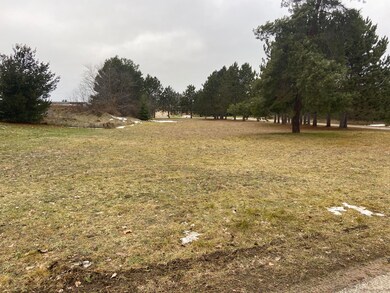 0 Robinson St unit 201816502, Vanderbilt, MI 49795 - photo 4