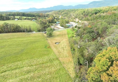 0 Hickory Hill Rd, Purgitsville, WV 26845 - photo 6