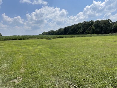 497 Bowling Alley Rd, Manchester, TN 37355 - photo 2