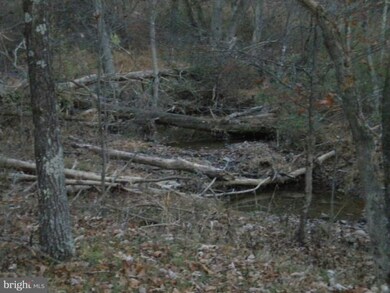 2237 Siler Rd, Winchester, VA 22603 - photo 2