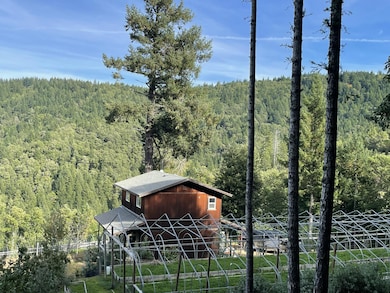 1010 Windy Ridge Ln, Garberville, CA 95542 - photo 2