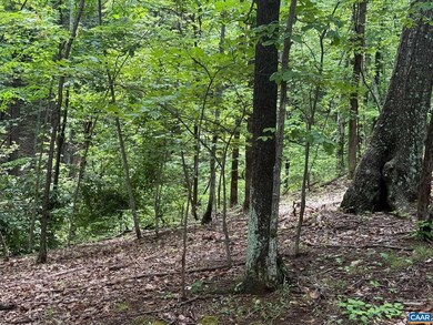 TBD Rabbit Valley Rd, North Garden, VA 22959 - photo 6