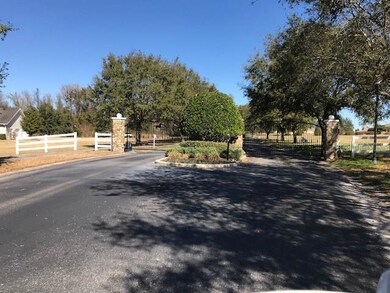 9730 Preakness Stakes Way, Dade City, FL 33525 - photo 4