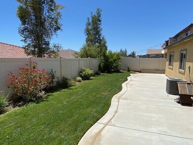 Begonia_1449 Back yard