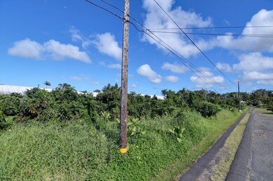 0 W Lanikaula St, Hilo, HI 96720 - photo 3