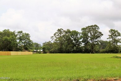 IMG_0633