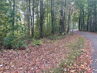 0 Macedonia Rd, Cookeville, TN 38506 - photo 2