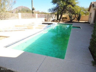 Olympic Sized Pool & Spa