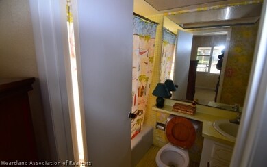 113 Temptation Ave, Lake Placid, FL 33852 - photo 6