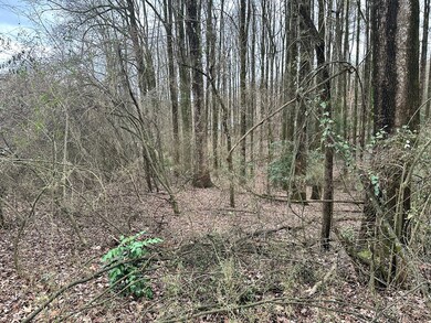 Lot 4 Timberwalk Dr, Ellijay, GA 30540 - photo 6