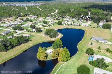 9 Corkwood Ave, Lake Placid, FL 33852 - photo 5