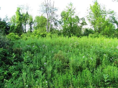 1000910 Appalachian Dr, Athens, NY 12015 - photo 7