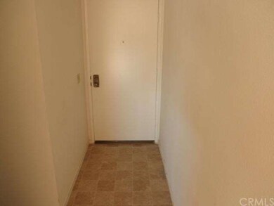 Front door entry, new vinyl flooring