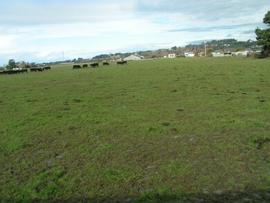 View over back fence looking north.