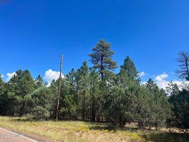 2899 Lejo Rd.