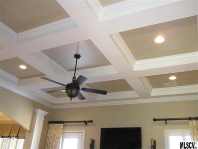 Living Room Ceiling