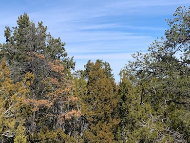 7310 Red Feather Ct, Happy Jack, AZ 86024 - photo 2