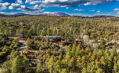 Aerial 5 Lot Lines