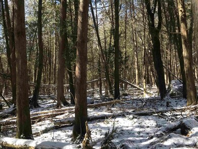 1750 E Hill Rd, Plainfield, VT 05667 - photo 6