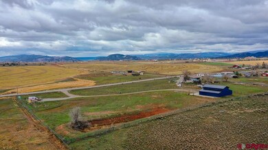 4428 County Road 302, Durango, CO 81303 - photo 2