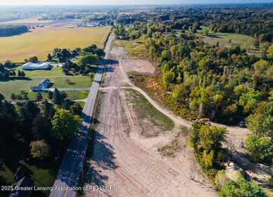 14120 Wood St, Lansing, MI 48906 - photo 3