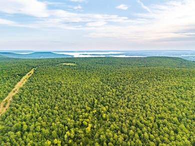 Bk 1600 Rd, Enterprise, OK 74462 - photo 4