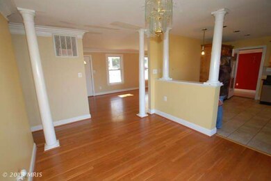 13114 Oriole Dr, Beltsville, MD 20705 - photo 5