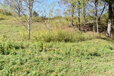 0 E Esculapis Fork Rd unit 25018893, Vanceburg, KY 41179 - photo 3