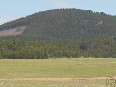 Tract 12a Whiskey Flats, Philipsburg, MT 59858 - photo 4