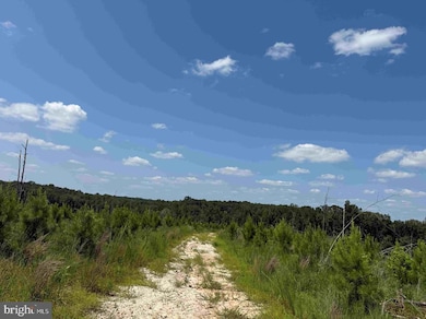 0 Bremo Road (Tract: Jr Barnes Dillion), Bremo Bluff, VA 23022 - photo 7