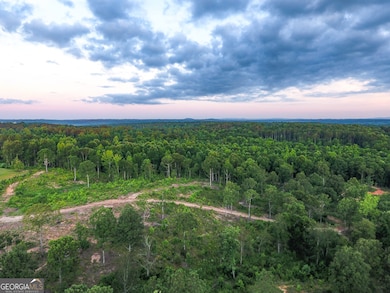 0 Roy Dean Rd unit 10564383, Buchanan, GA 30113 - photo 5