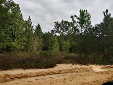 300 Nancy Ln, Ailey, GA 30401 - photo 7