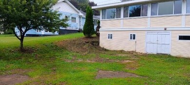Rear house side yard Maple