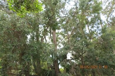 Rear wooded area